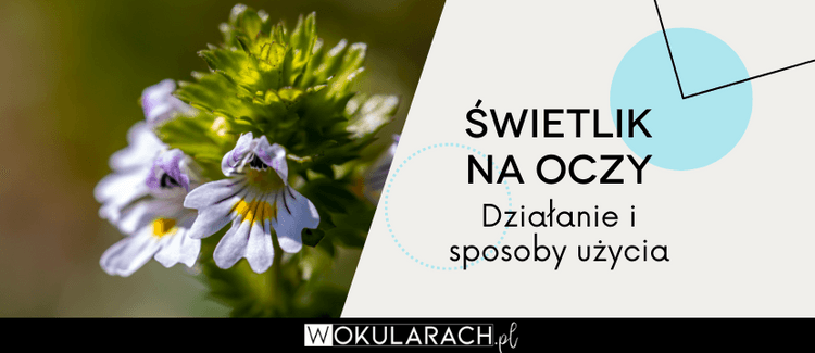 Świetlik do oczu – zastosowanie, działanie i sposoby użycia